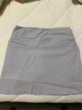 Women's Blue and White Pinstripe Skirt